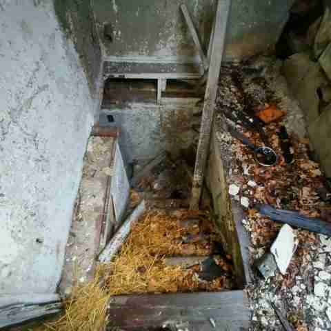 8031 conger (71).jpg